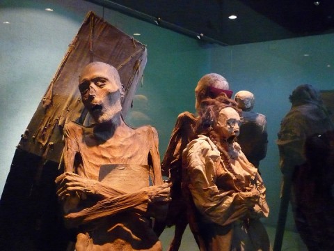 Museum mummies Guanajuato Mexico