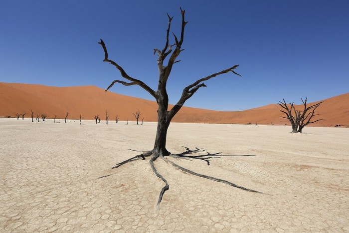 Намибия, фото GianniParola
