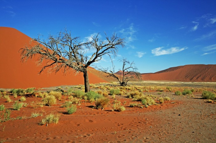 Намибия, фото MaurizioPeddis
