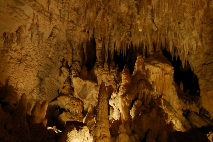 Пещера Waitomo