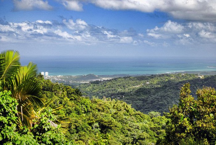 Эль-Юнке, Пуэрто-Рико, фото  Trish Hartmann