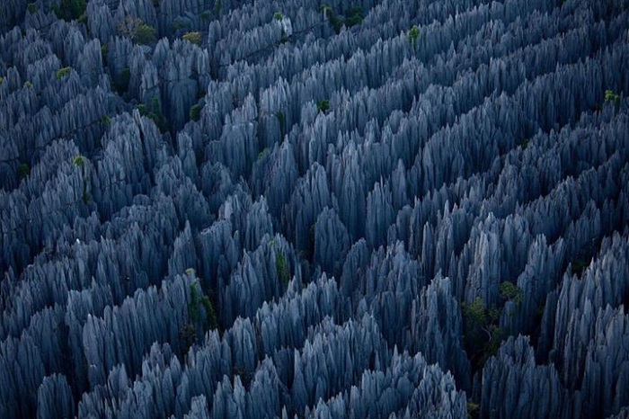«Каменный лес», фото RasheedFR