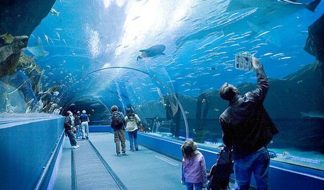 Самый большой аквариумпарк в мире