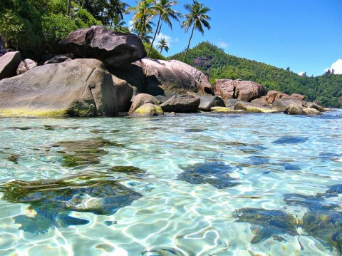 Отдых на Сейшельских островах