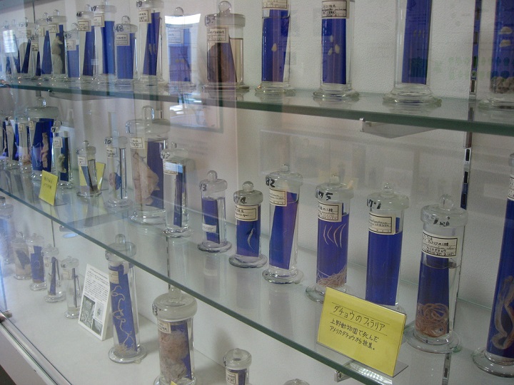 Meguro Museum of Parasitology
