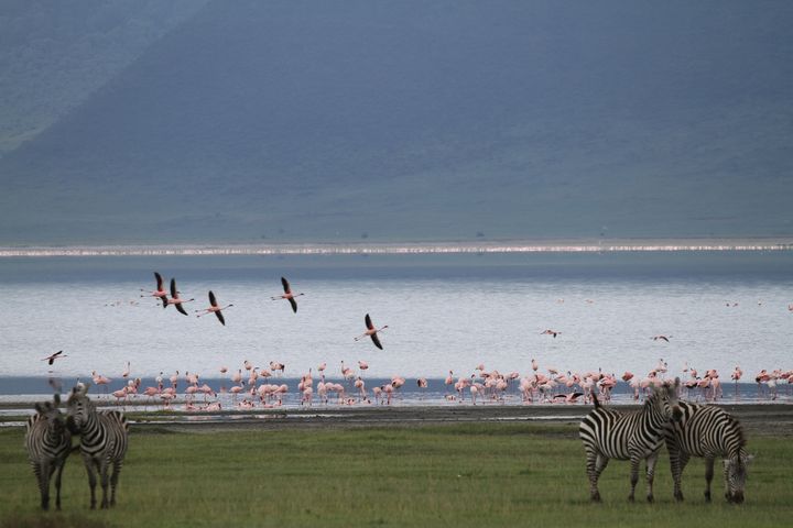 Tanzania 