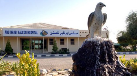 Больница для соколов в Абу-Даби