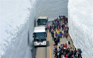 «Снежный коридор» в Японии, фото The telegraph