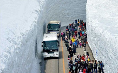 «Снежный коридор» в Японии, фото The telegraph