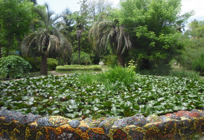Сухумский Ботанический сад, фото Dioskurro