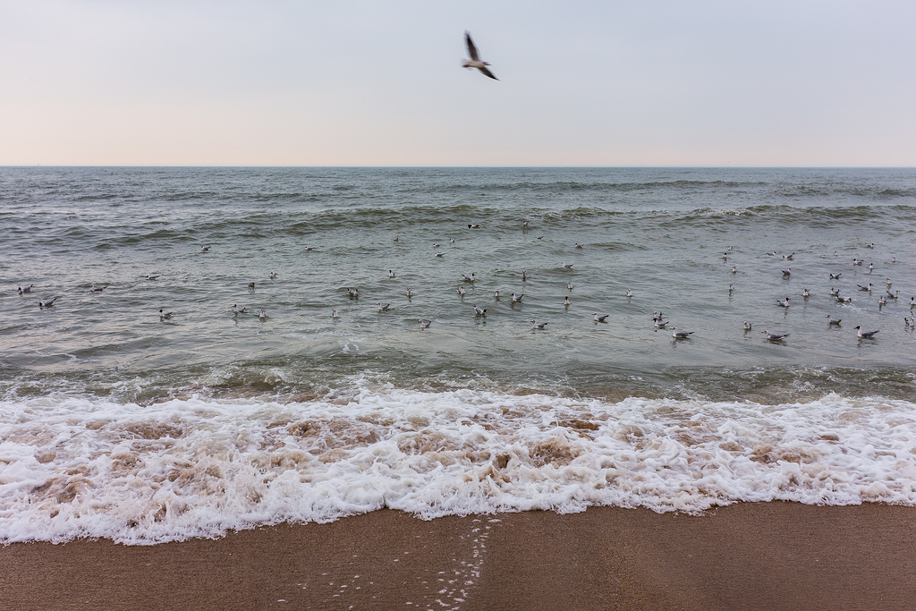 Отдых каспийское море астрахань отдых фото