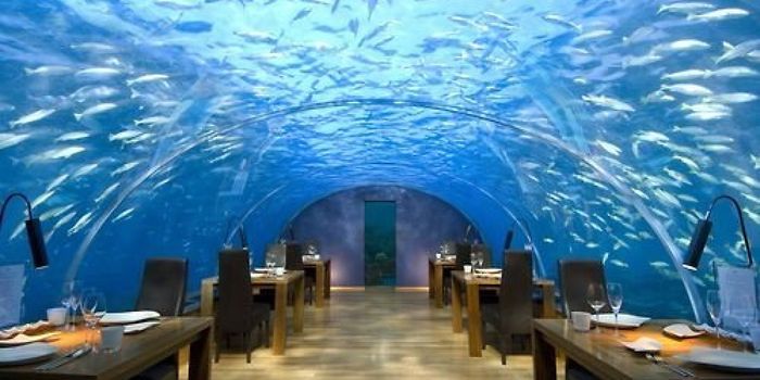 Ithaa Undersea Restaurant на Мальдивах